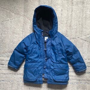 Warm Blue Gap Puffer or Duffle Coat